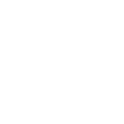 helmet icon